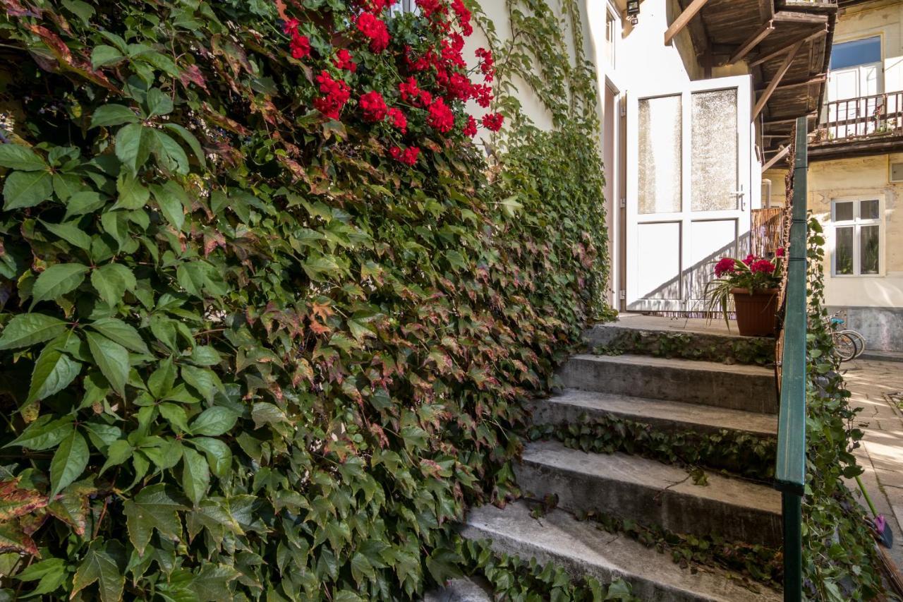Cracow Best Location Apartment With Garden By Cozyplace Krakow Dış mekan fotoğraf